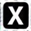 X (Twitter) icon